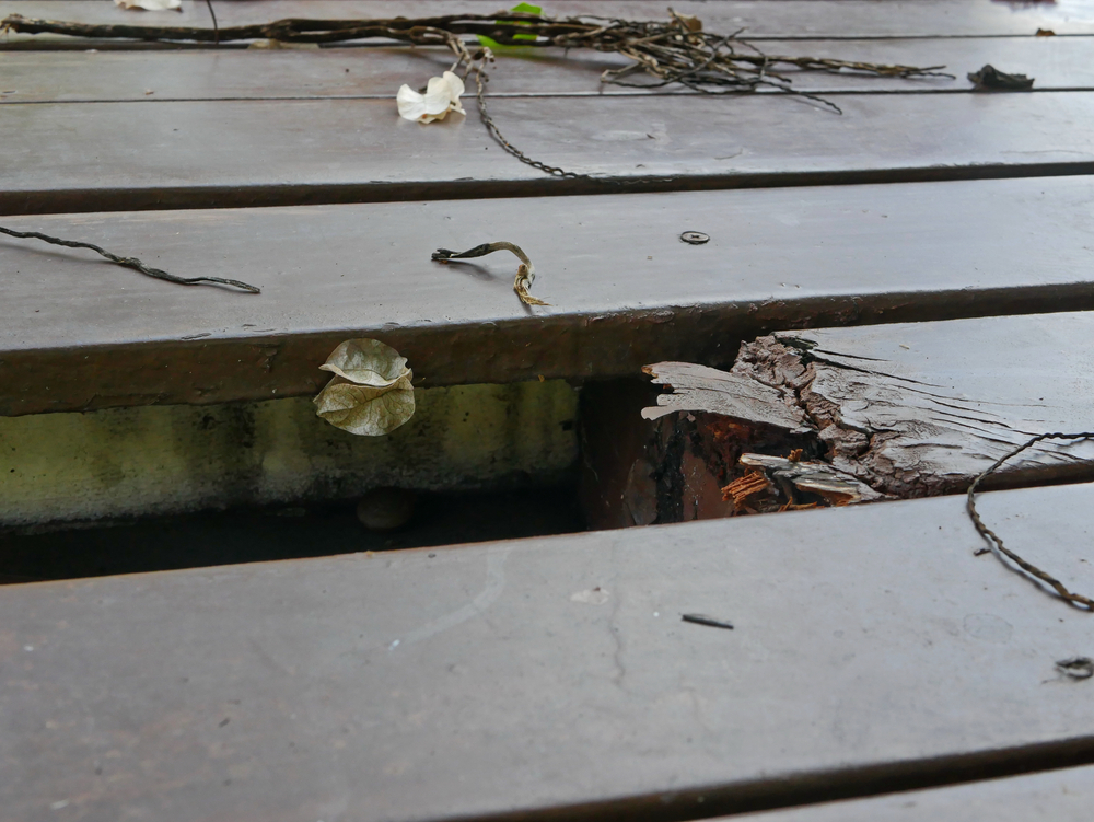 Wood Rot Repair
